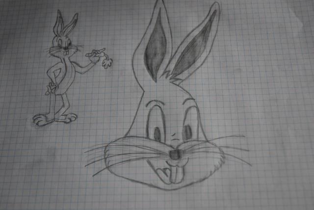 Bugs *__*