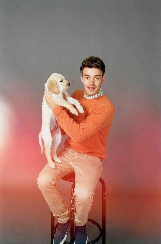 Wpis 1donedirection4ever