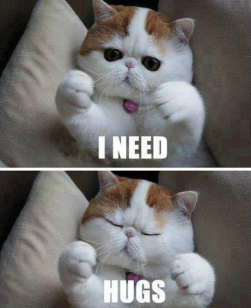 251. I need hugs.