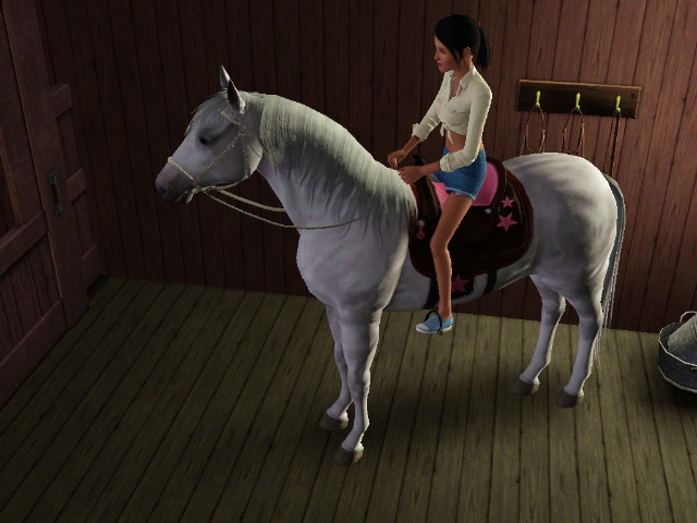Wpis swiatsims0w