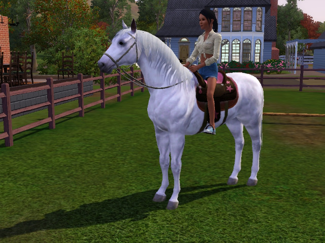 Wpis swiatsims0w