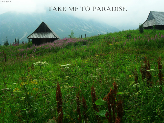 Take me to paradise. 