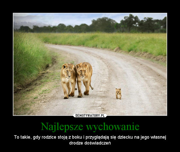Wpis biczyssss
