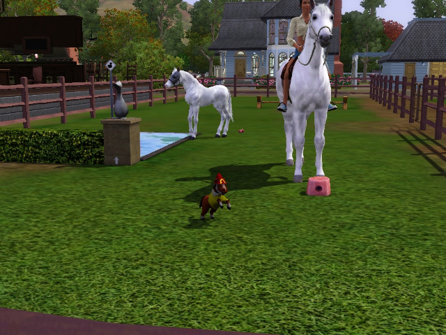 Wpis swiatsims0w