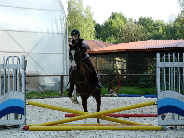 Witam! Gigant & Me