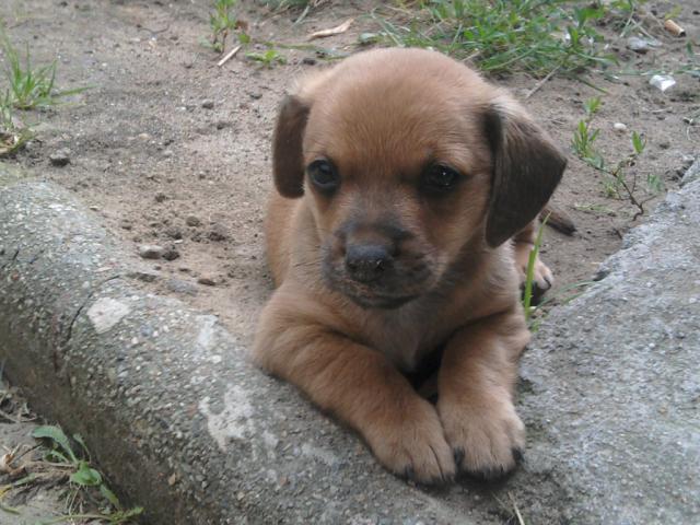 *.* 