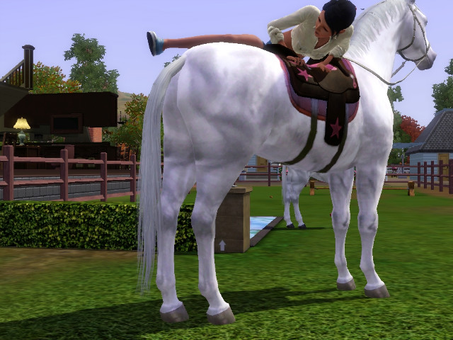 Wpis swiatsims0w