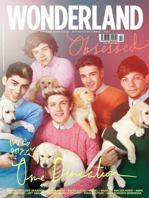 Wpis onedirections