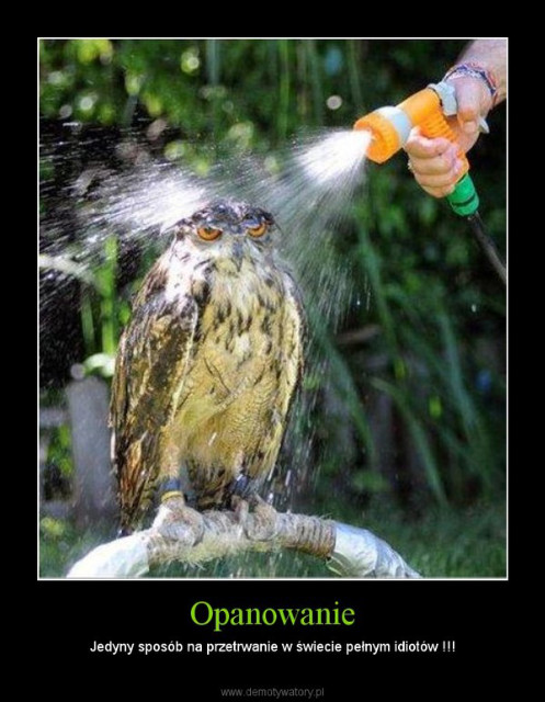 Composure key to success :D