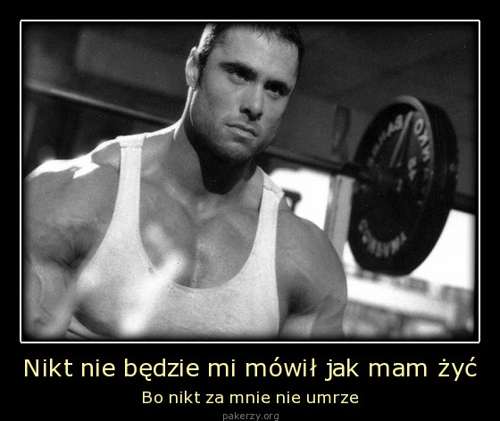 Wpis nevergiveup1
