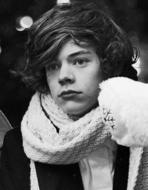 Harry co :**