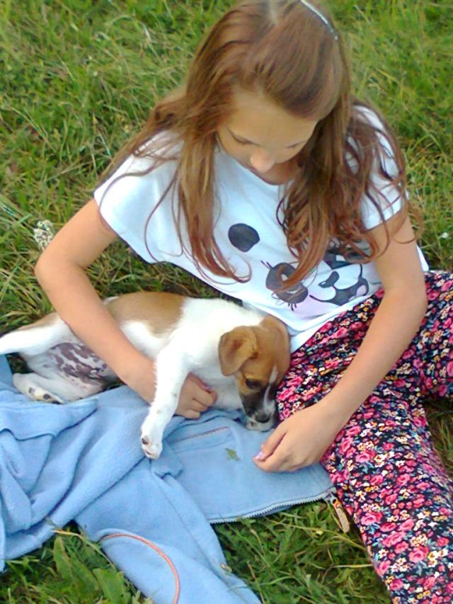 Wpis dziamdziarka123456