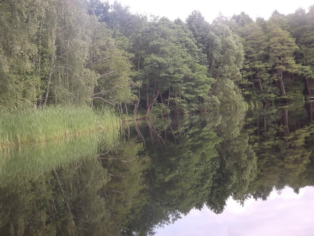 Piaskowe.