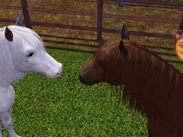 Wpis swiatsims0w