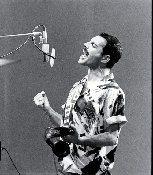 FREDDIE JESTE Z NAMI 