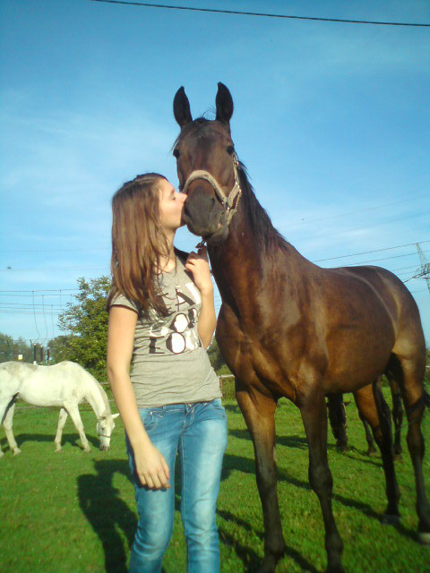 WITAM 