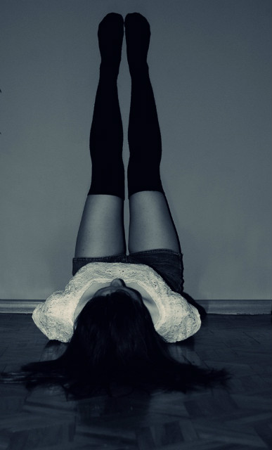 nogy