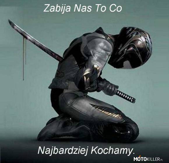Totalna zamua
