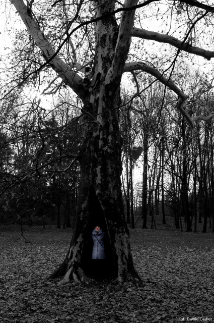 Women in tree