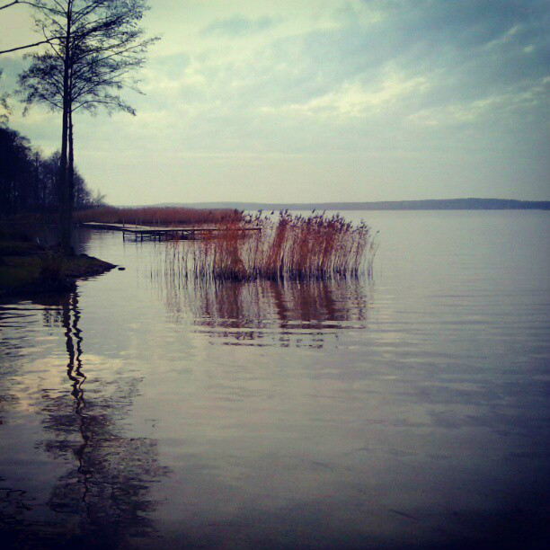 Boszkowo