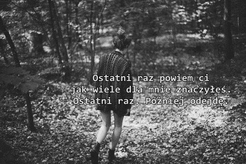 Wpis sighforever