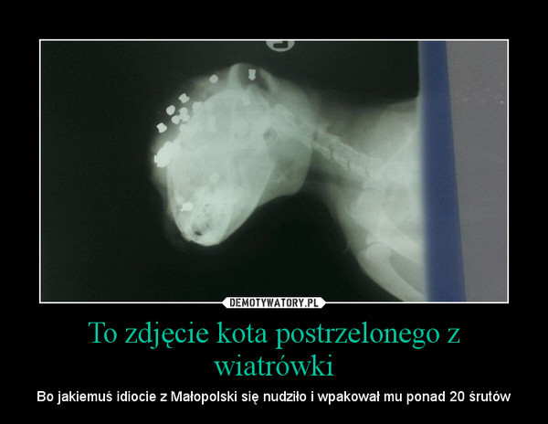 Wpis malinowamalinkaa