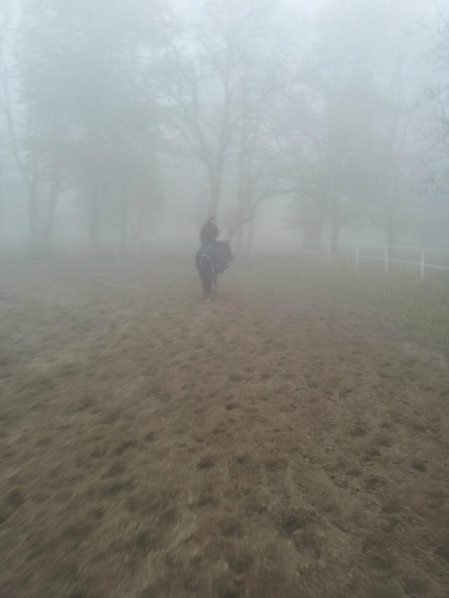 Foggy day!