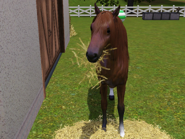 Wpis swiatsims0w