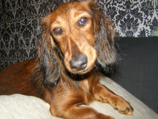 Telka.