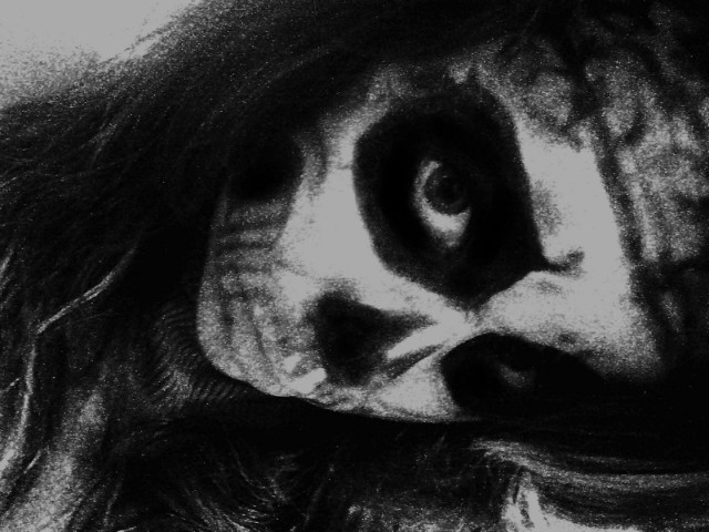 z hallowen jeszcze . lol