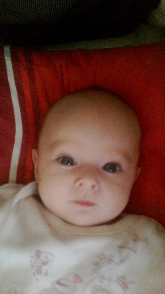 Wpis gaciorek