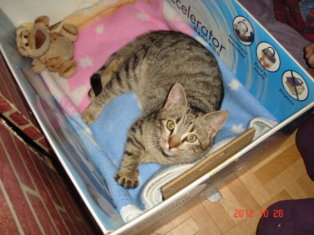 Nyen :)