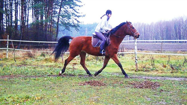 Picco