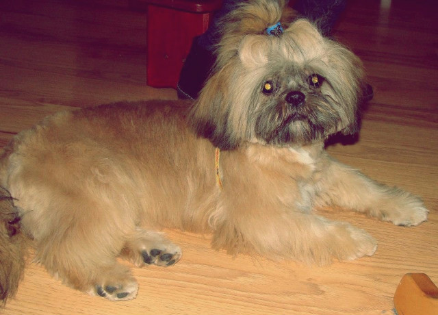 Pixel. 