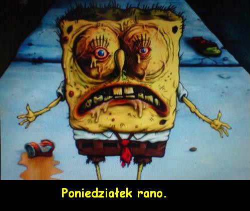codziennie rano :o