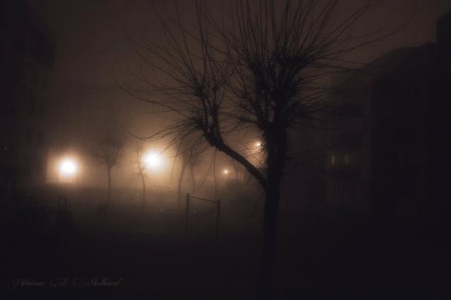 die Nacht