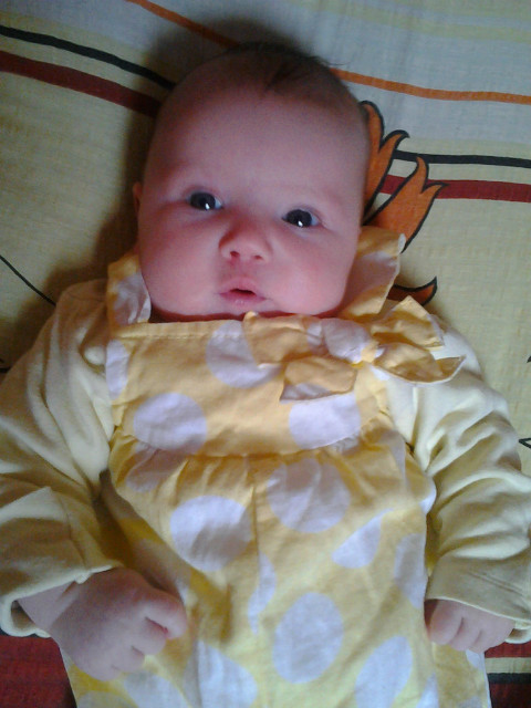 Wpis anetasiara