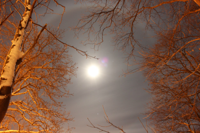 halo