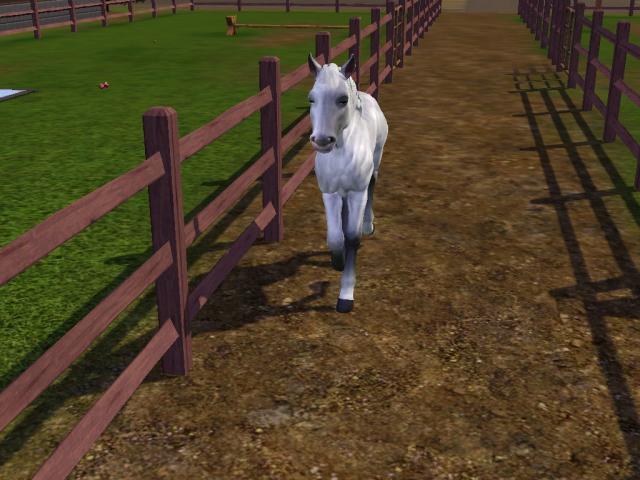 Wpis swiatsims0w