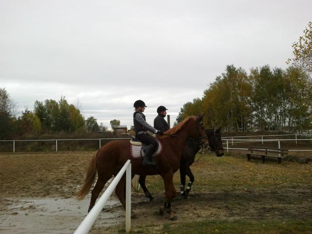 Hubertus w Apollo 2012