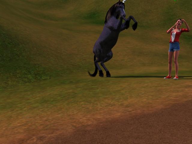 Wpis swiatsims0w