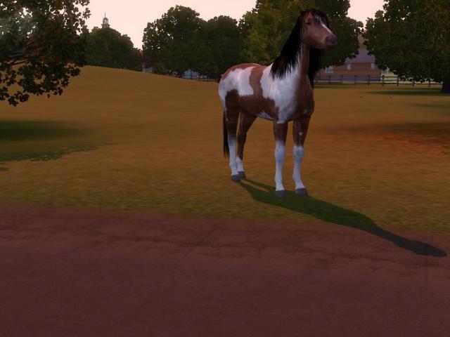 Wpis swiatsims0w