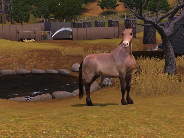Wpis swiatsims0w