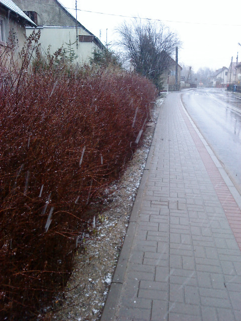 Mamy czas?