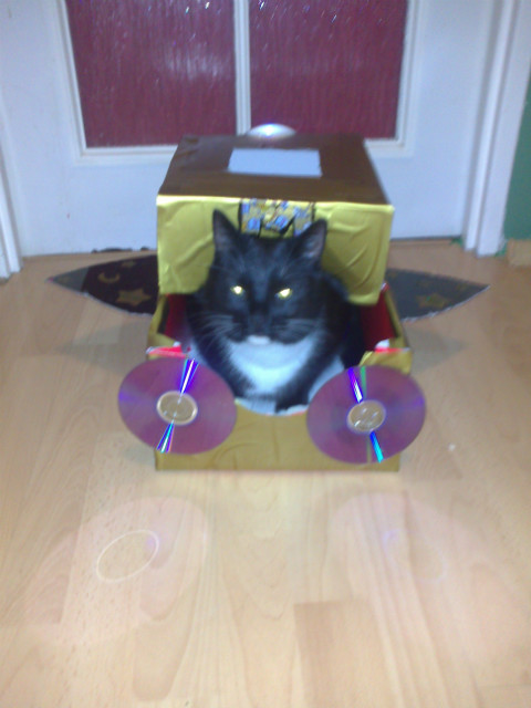 Space Cat!