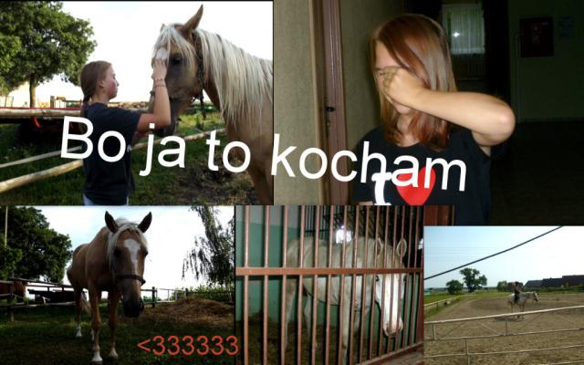 28. Bo to kocham