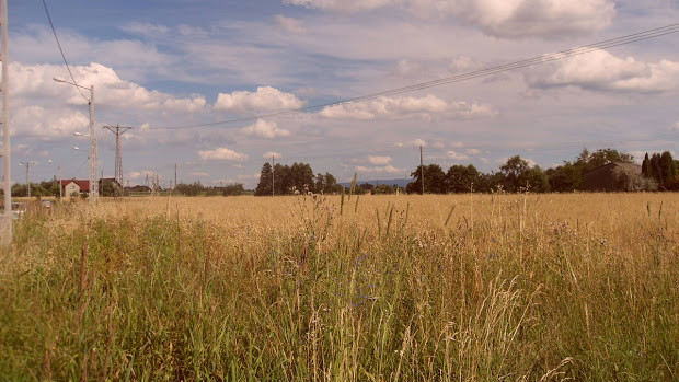 Wpis karola0716