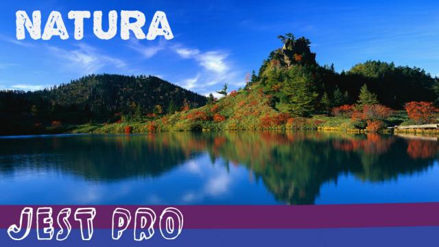 NATURA