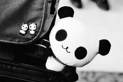 Pandaa! 