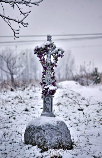 Zima 12/13
